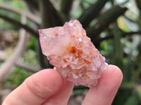 Natural Amethyst Spirit Quartz Crystals x 35 From Boekenhouthoek, South Africa