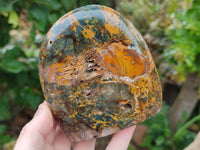 Polished Neolite Standing Free Forms x 2 From Prieska, South Africa