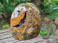 Polished Neolite Standing Free Forms x 2 From Prieska, South Africa