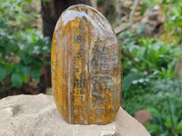 Polished Neolite Standing Free Forms x 2 From Prieska, South Africa