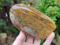 Polished Neolite Standing Free Forms x 2 From Prieska, South Africa