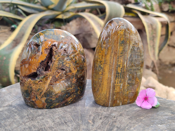 Polished Neolite Standing Free Forms x 2 From Prieska, South Africa