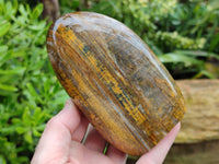Polished Neolite Standing Free Forms x 2 From Prieska, South Africa