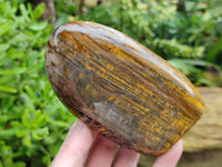 Polished Neolite Standing Free Forms x 2 From Prieska, South Africa