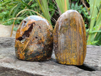 Polished Neolite Standing Free Forms x 2 From Prieska, South Africa