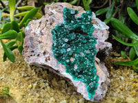 Natural Dioptase Cabinet Specimen x 1 From Mashamba East Mine, Congo