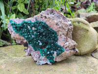 Natural Dioptase Cabinet Specimen x 1 From Mashamba East Mine, Congo
