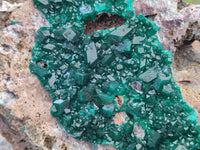 Natural Dioptase Cabinet Specimen x 1 From Mashamba East Mine, Congo