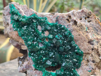 Natural Dioptase Cabinet Specimen x 1 From Mashamba East Mine, Congo