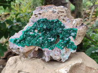 Natural Dioptase Cabinet Specimen x 1 From Mashamba East Mine, Congo