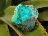 Natural Mixed selection of Minerals x 7 From Congo