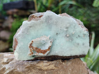Natural Mixed selection of Minerals x 7 From Congo