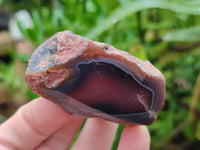 Polished On One Side Red Sashe River Agate Nodules x 12 From Zimbabwe