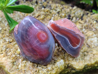 Polished On One Side Red Sashe River Agate Nodules x 12 From Zimbabwe