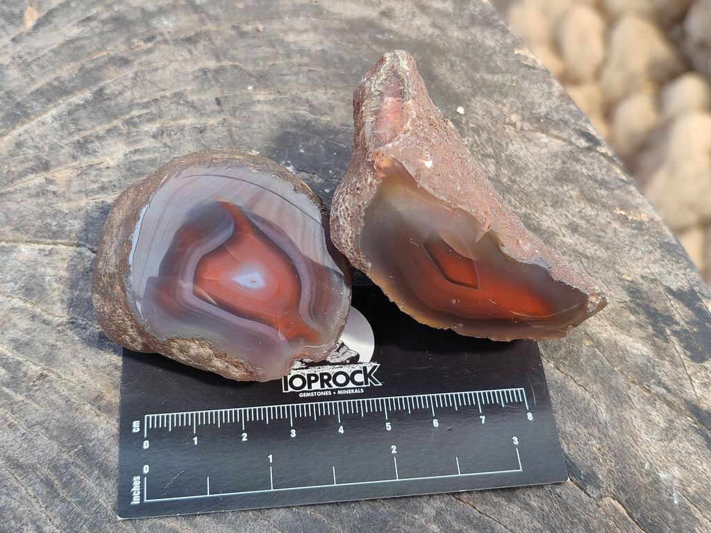 Polished On One Side Red Sashe River Agate Nodules x 12 From Zimbabwe - Toprock Gemstones and Minerals 