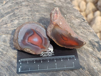 Polished On One Side Red Sashe River Agate Nodules x 12 From Zimbabwe