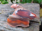 Polished On One Side Red Sashe River Agate Nodules x 12 From Zimbabwe - Toprock Gemstones and Minerals 