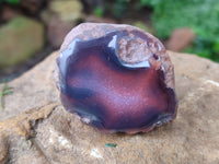 Polished On One Side Red Sashe River Agate Nodules x 12 From Zimbabwe
