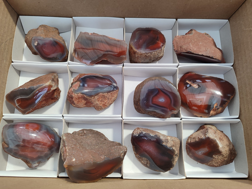 Polished On One Side Red Sashe River Agate Nodules x 12 From Zimbabwe - Toprock Gemstones and Minerals 