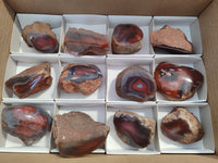 Polished On One Side Red Sashe River Agate Nodules x 12 From Zimbabwe