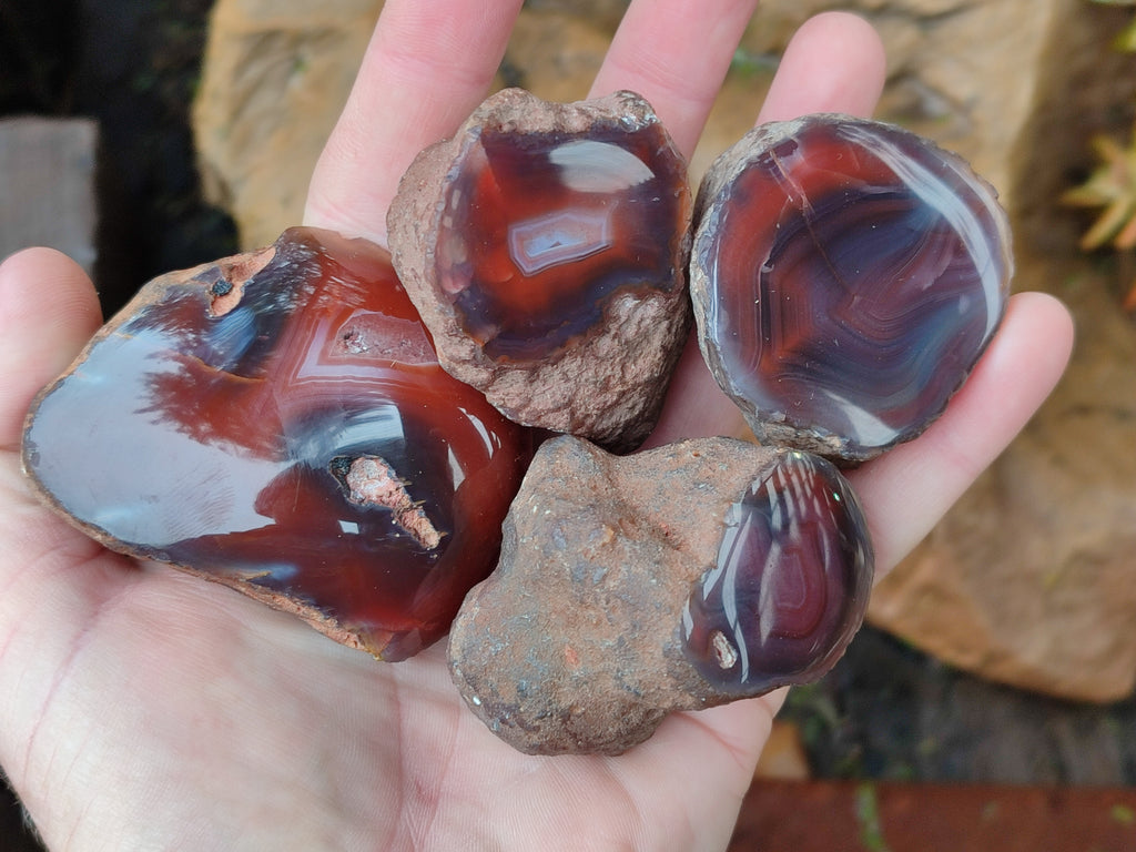 Polished On One Side Red Sashe River Agate Nodules x 12 From Zimbabwe - Toprock Gemstones and Minerals 