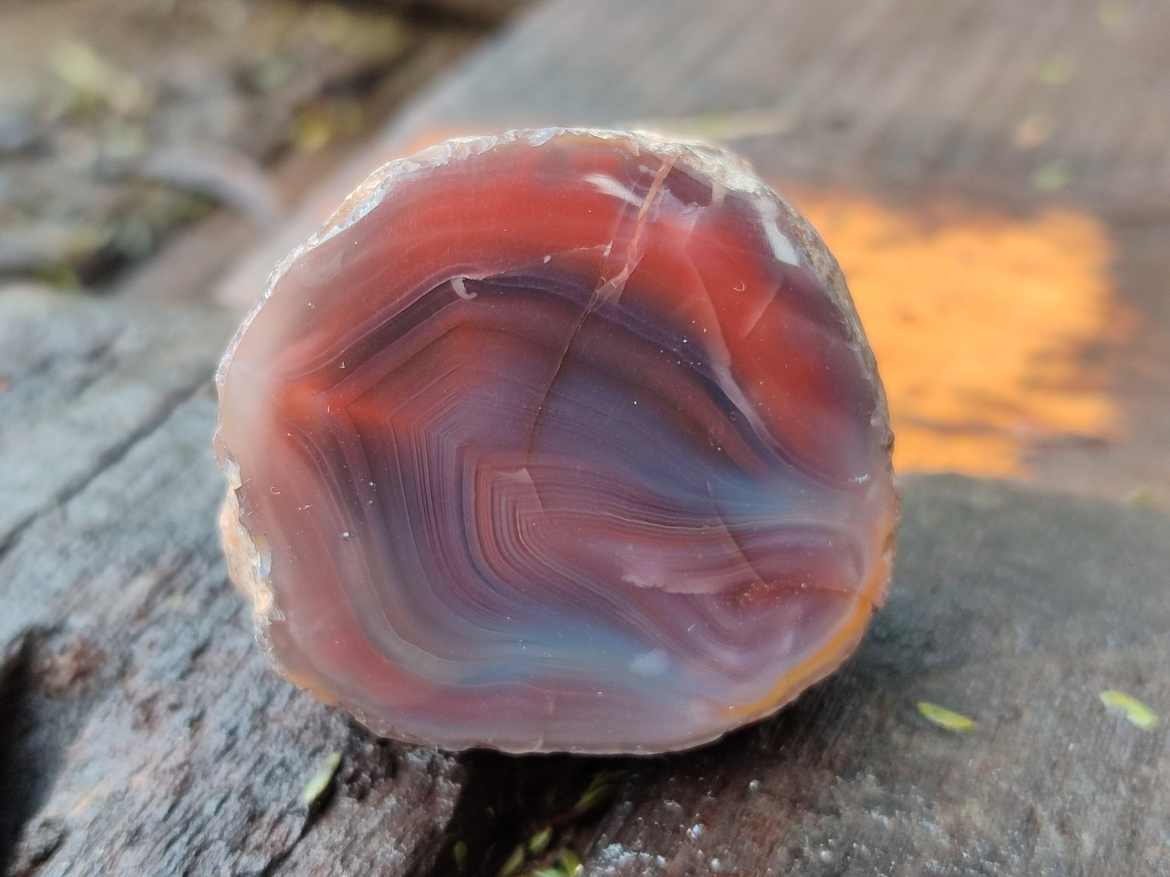 Polished On One Side Red Sashe River Agate Nodules x 12 From Zimbabwe - Toprock Gemstones and Minerals 