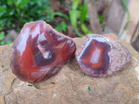 Polished On One Side Red Sashe River Agate Nodules x 12 From Zimbabwe