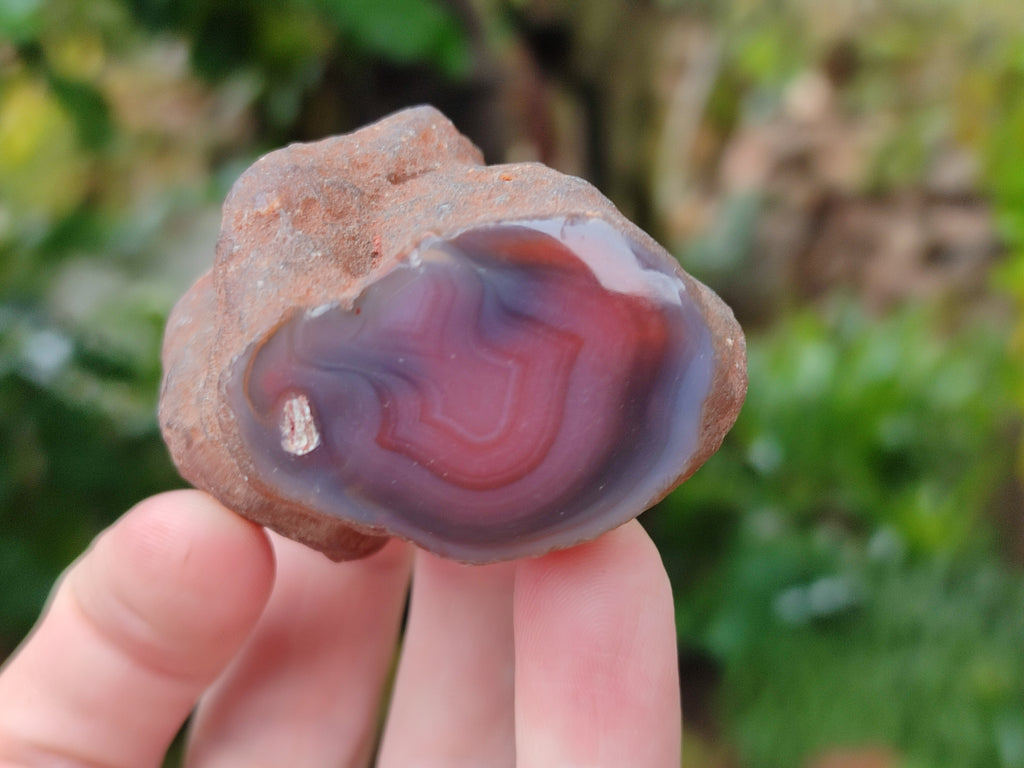 Polished On One Side Red Sashe River Agate Nodules x 12 From Zimbabwe - Toprock Gemstones and Minerals 