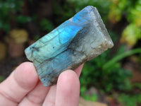 Polished On One Side Labradorite Plates x 35 From Tulear, Madagascar