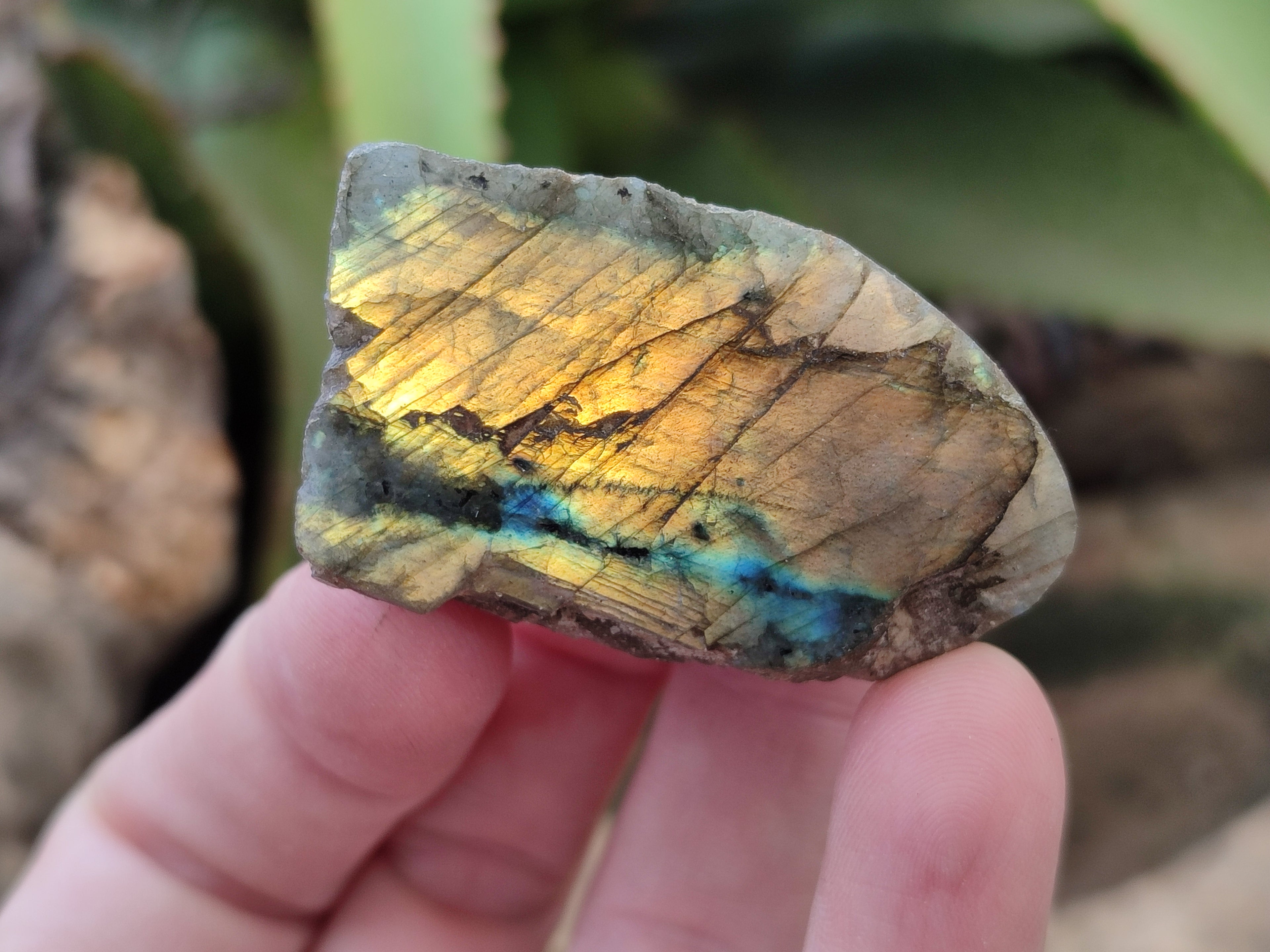 Polished On One Side Labradorite Plates x 35 From Tulear, Madagascar - Toprock Gemstones and Minerals 