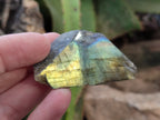 Polished On One Side Labradorite Plates x 35 From Tulear, Madagascar - Toprock Gemstones and Minerals 