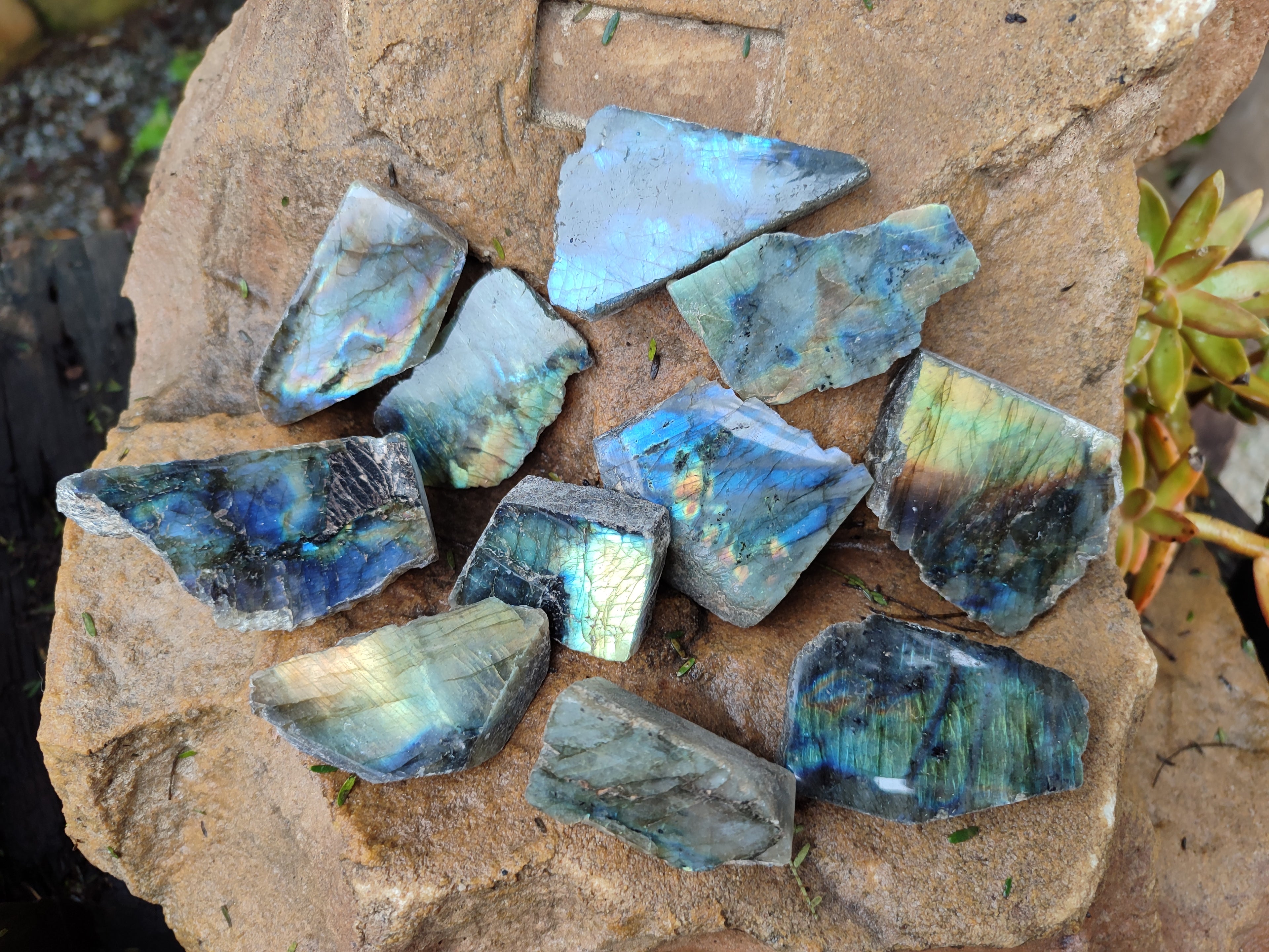 Polished On One Side Labradorite Plates x 35 From Tulear, Madagascar - Toprock Gemstones and Minerals 