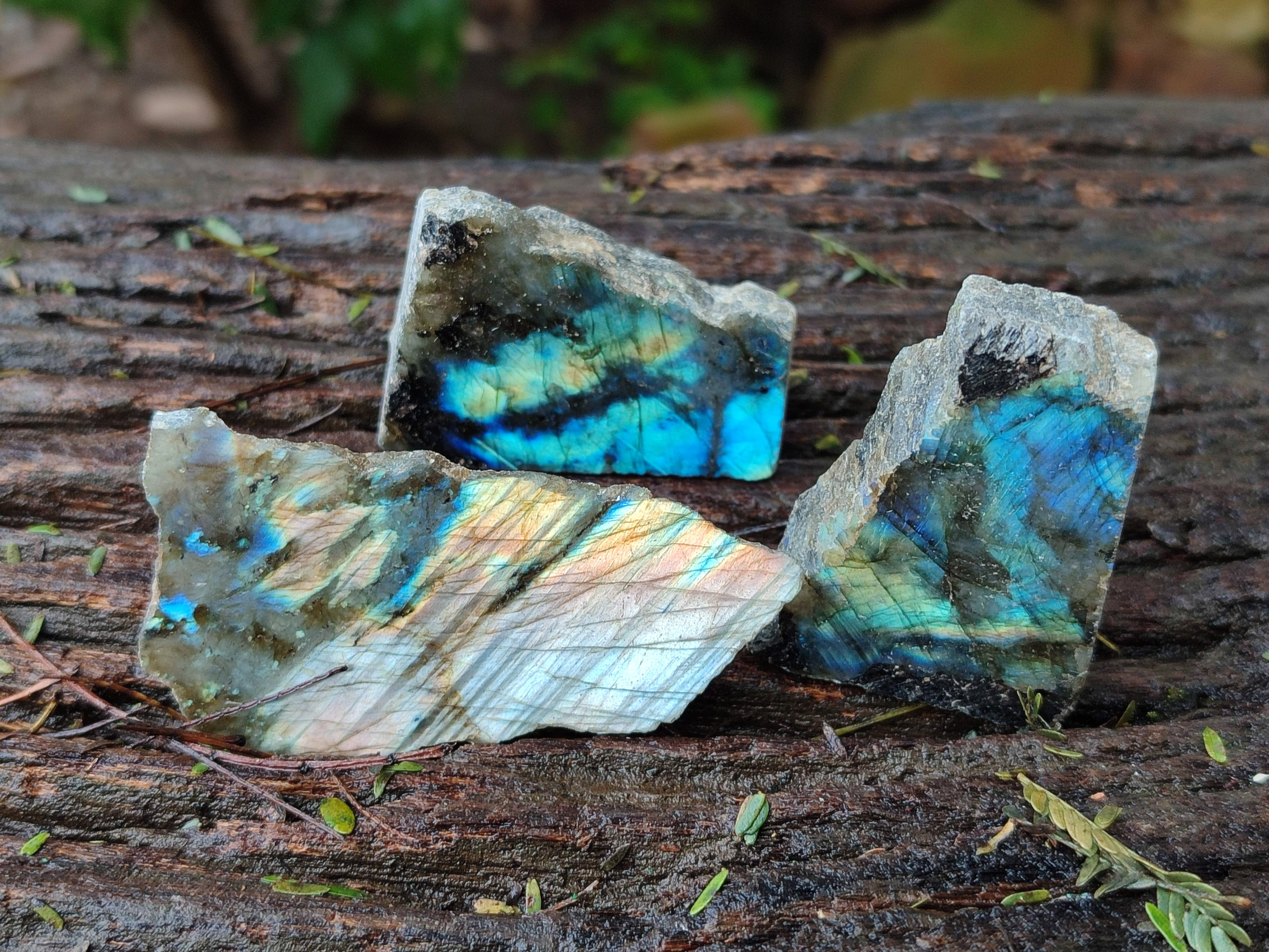 Polished On One Side Labradorite Plates x 35 From Tulear, Madagascar - Toprock Gemstones and Minerals 