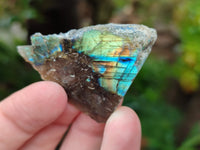 Polished On One Side Labradorite Plates x 35 From Tulear, Madagascar
