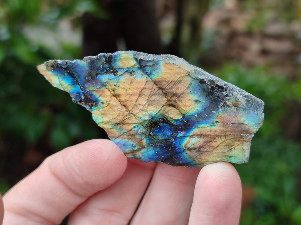 Polished On One Side Labradorite Plates x 35 From Tulear, Madagascar - Toprock Gemstones and Minerals 