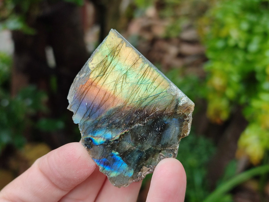 Polished On One Side Labradorite Plates x 35 From Tulear, Madagascar - Toprock Gemstones and Minerals 