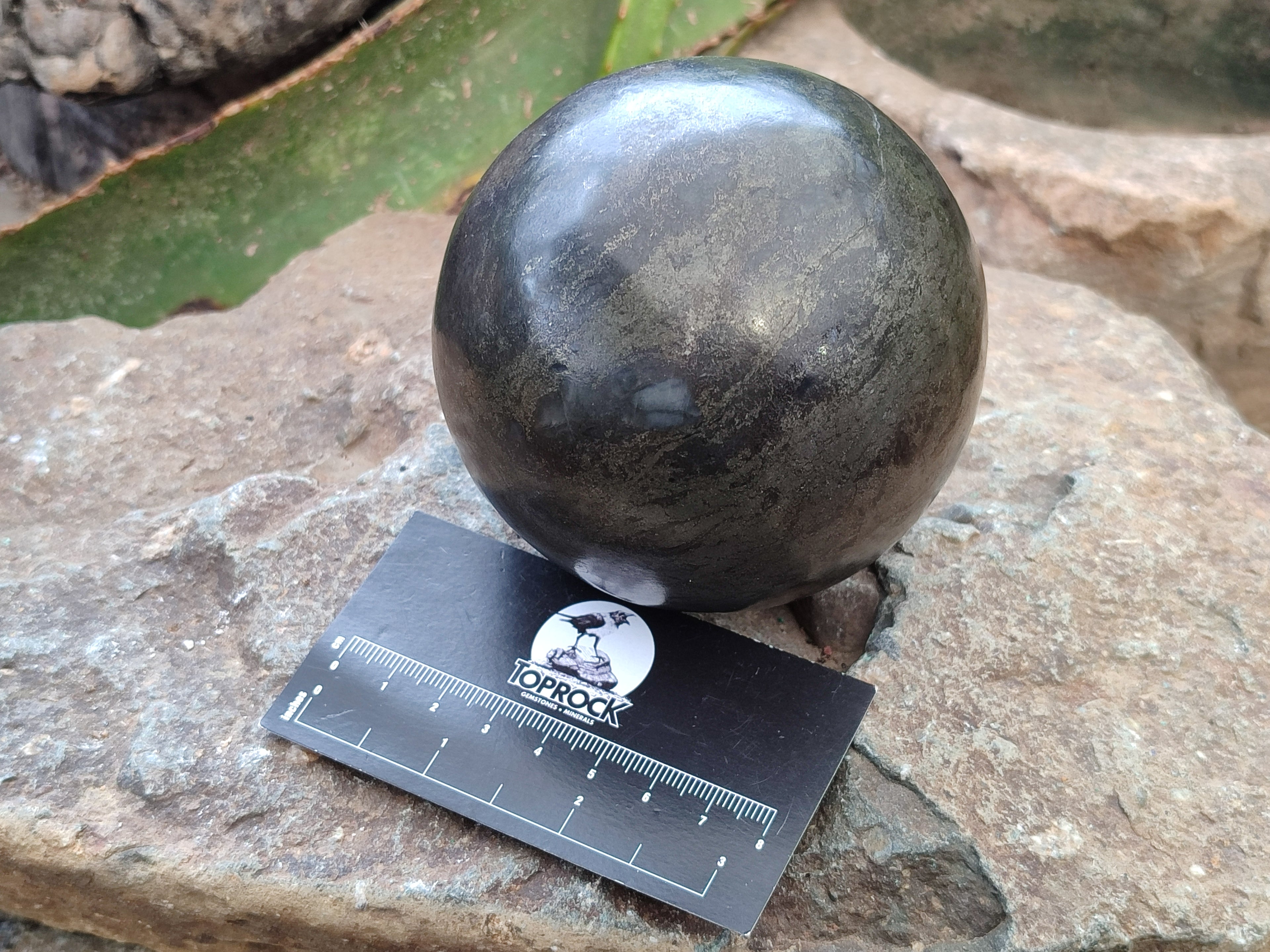 Polished Rare Pharaoh Stone Pyrite in Basalt Sphere x 1 Iron Duke Mine, Zimbabwe - Toprock Gemstones and Minerals 