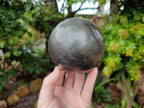 Polished Rare Pharaoh Stone Pyrite in Basalt Sphere x 1 Iron Duke Mine, Zimbabwe - Toprock Gemstones and Minerals 