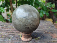 Polished Rare Pharaoh Stone Pyrite in Basalt Sphere x 1 Iron Duke Mine, Zimbabwe
