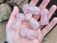 Polished Rose Quartz Mushrooms x 20 From Ambatondrazaka, Madagascar