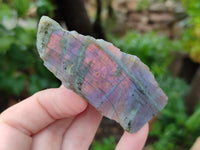 Polished On One Side Labradorite Plates x 12 From Tulear, Madagascar