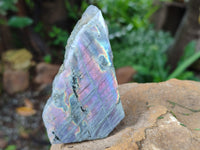 Polished On One Side Labradorite Plates x 12 From Tulear, Madagascar