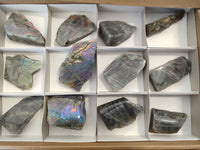 Polished On One Side Labradorite Plates x 12 From Tulear, Madagascar