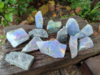 Polished On One Side Labradorite Plates x 12 From Tulear, Madagascar