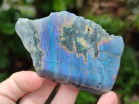 Polished On One Side Labradorite Plates x 12 From Tulear, Madagascar