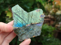 Polished On One Side Labradorite Plates x 12 From Tulear, Madagascar