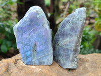 Polished On One Side Labradorite Plates x 12 From Tulear, Madagascar