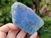 Polished On One Side Labradorite Plates x 12 From Tulear, Madagascar