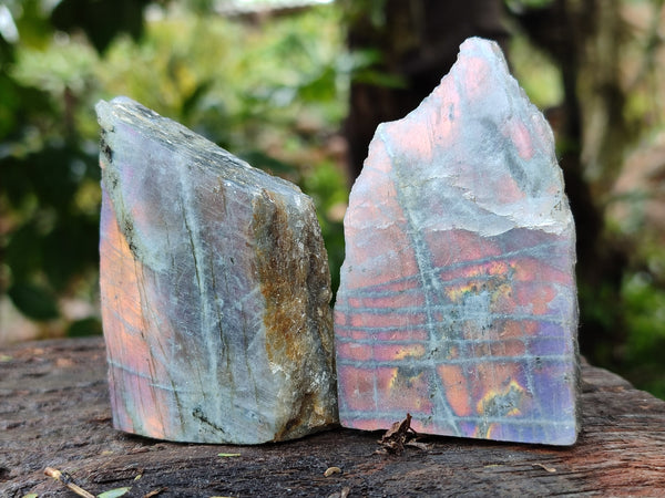 Polished On One Side Labradorite Plates x 12 From Tulear, Madagascar