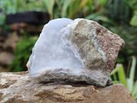 Natural Blue Lace Agate Geode Specimens x 24 From Nsanje, Malawi